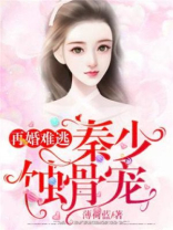 再婚难逃：秦少蚀骨宠