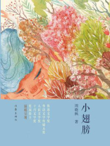 小翅膀