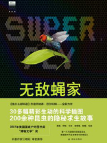 无敌蝇家：双翅目昆虫的成功秘籍