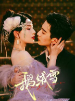 鹅绒锁（郝富申、胡亦瑶主演《鹅绒雪》原著）