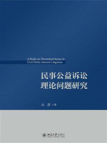 民事公益诉讼理论问题研究