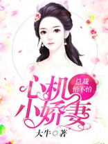 心机小娇妻：总裁怕不怕