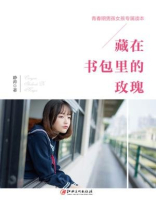 畅销大全：藏在书包里的玫瑰
