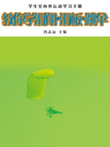 教你学滑翔滑板跳伞