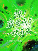 惊！我竟成了一块石头