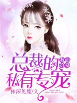 双面娇妻：总裁的私有专宠