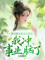 被穿越女抢走夫君后，我冲事业脑了