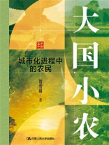大国小农：城市化进程中的农民