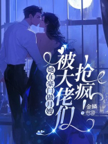 她在豪门做月嫂，被大佬们抢疯！