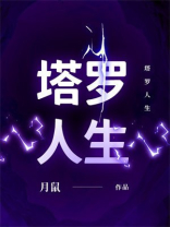 塔罗人生