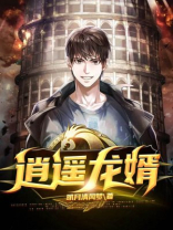 逍遥龙婿