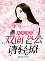 宠妻无度：双面老公请轻撩