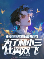 老婆逼我交出专利，竟是为了和小三比翼双飞