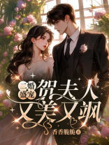 二婚盛宠，贺夫人又美又飒
