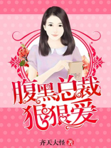 腹黑总裁狠狠爱