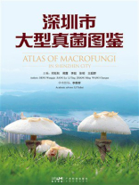 深圳市大型真菌图鉴