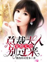 宠婚无度：总裁大人别过来