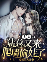 夫人，陆总又来爬墙偷娃了