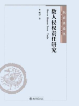 数人侵权责任研究