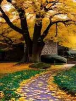 老婆出轨竹马，我让她再来一次