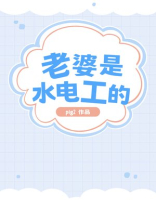 老婆是水电工的