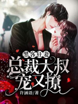 黑客狂妻：总裁大叔宠又撩