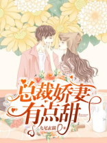 总裁娇妻有点甜