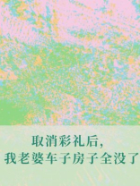 取消彩礼后，我老婆车子房子全没了