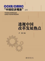 透视中国改革发展热点