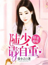 娇妻难哄：陆少请自重