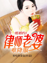 一纸婚约：律师老婆难降服