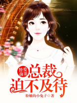 替爱前妻：总裁迫不及待