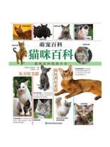 猫咪百科