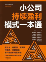 小公司持续盈利模式一本通