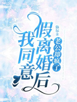 我同意假离婚后，老公却疯了