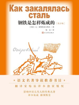 钢铁是怎样炼成的：青少版