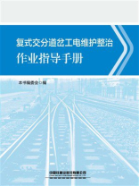 复式交分道岔工电维护整治作业指导手册