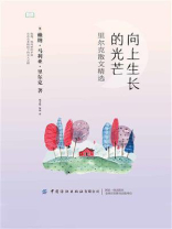 向上生长的光芒