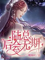 陆总，后会无期