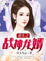 重生之战神龙婿