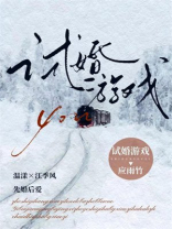 试婚游戏