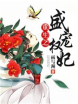 重生之盛宠权妃