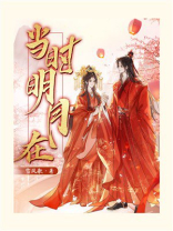 当时明月在