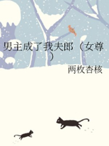 男主成了我夫郎（女尊）