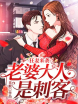 狂妻来袭：老婆大人是刺客