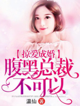 掠爱成婚：腹黑总裁不可以