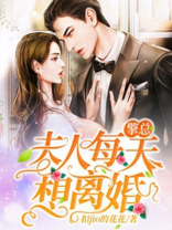 擎总，夫人每天想离婚