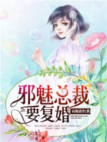 邪魅总裁要复婚