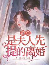 萧总，是夫人先提的离婚