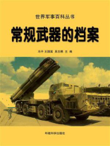 常规武器的档案